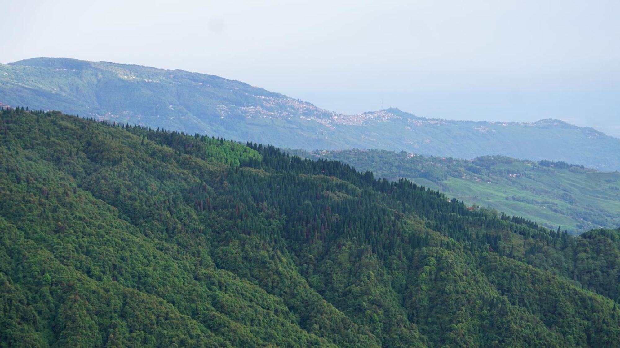 Tranquil Retreat Homestay Ghum Exteriér fotografie