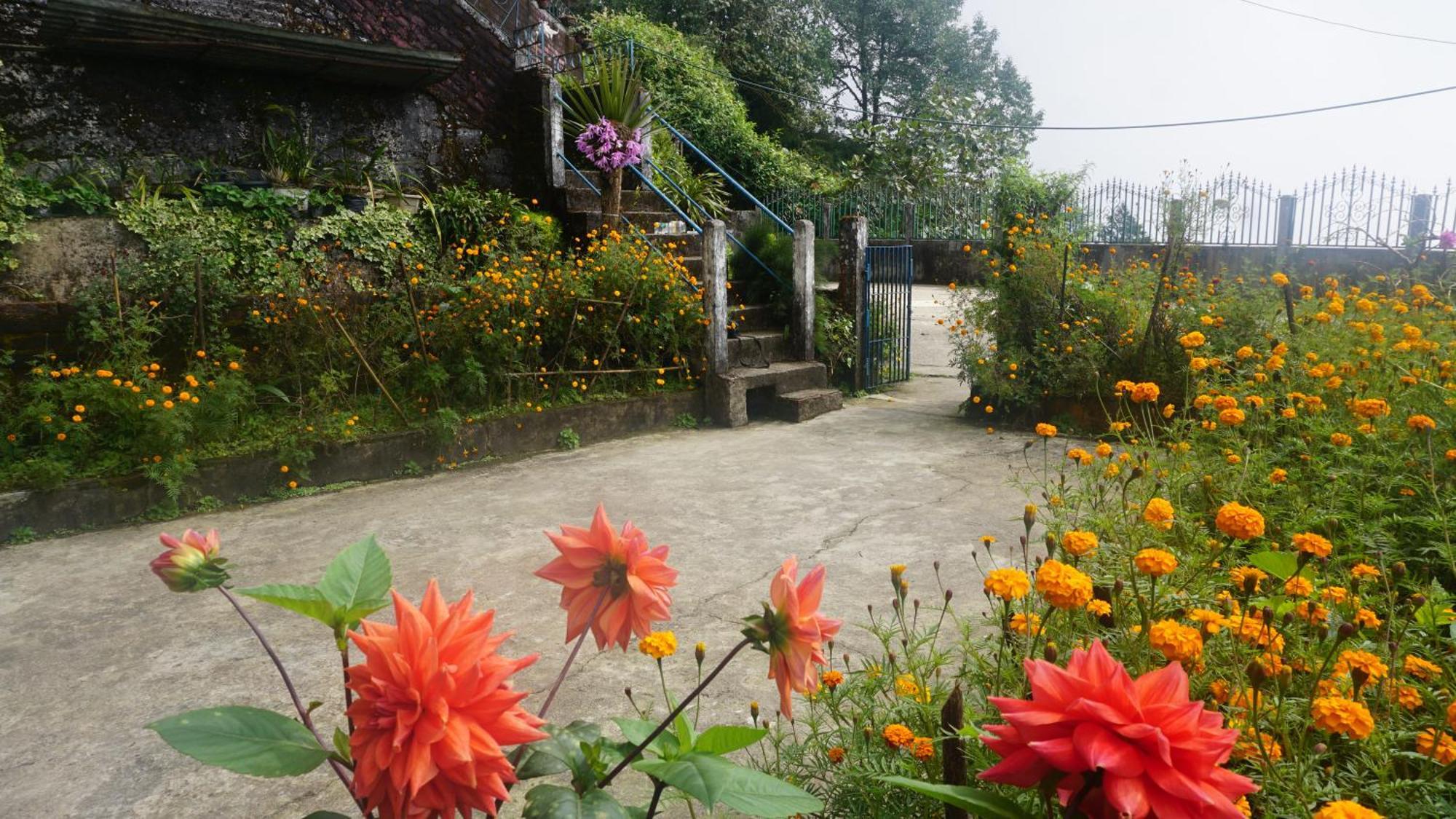 Tranquil Retreat Homestay Ghum Exteriér fotografie